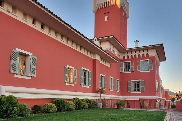 From Nice: Tour of the Most Beautiful Places