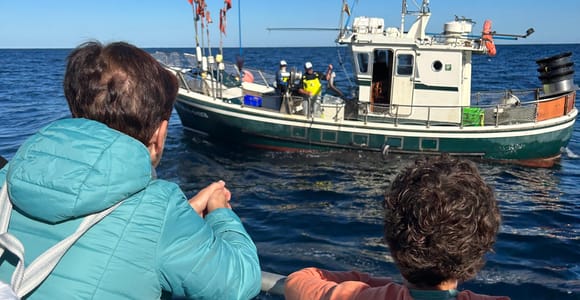 Arrantza Ikustera Goaz! In San Sebastián, go out to see how an inshore fishing boat fishes
