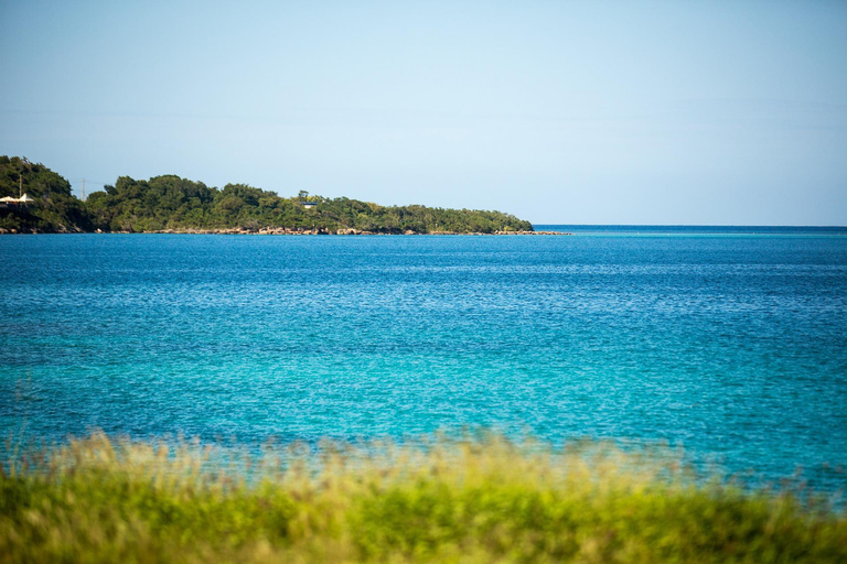 بربادوس: جولة في الجزيرة مع الكهف والقرود وركوب قارب