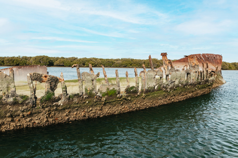 Adélaïde : croisière avec les dauphins de Port River et le cimetière des navires