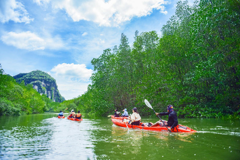 Krabi: excursão de meio dia em caiaque no mangue Bor Thor