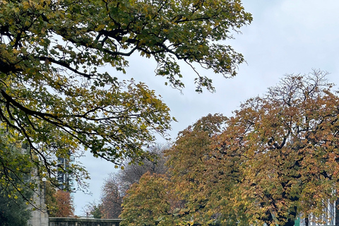 Tour privato di mezza giornata dei luoghi più belli di Christchurch