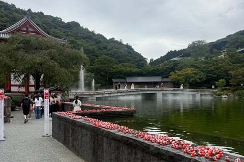 Osaka: Private Full-Day Tour with English-Speaking Driver