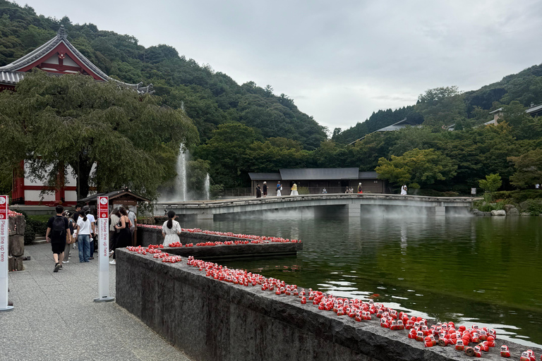 Osaka: Private Full-Day Tour with English-Speaking Driver