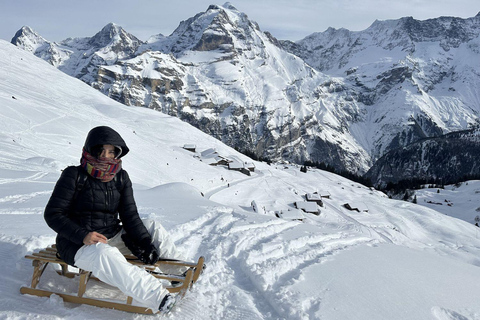 Switzerland: Private Sledging Day Tour6-hour half-day tour