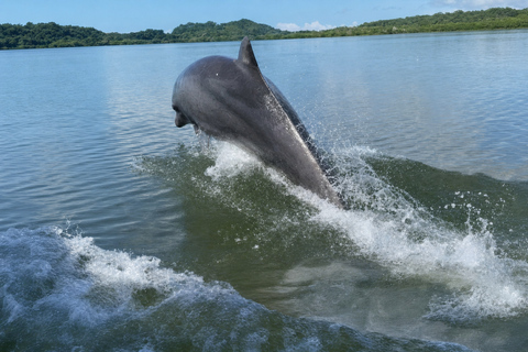 Boca Chica: Sunset boat tour and seaside dinner Shared sunset boat tour and dinner