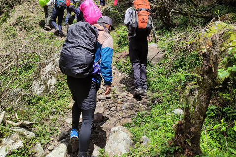 Annapurna View: Short trek to Poonhill-From PokharaAnnapurna View: Short trek to Poonhill