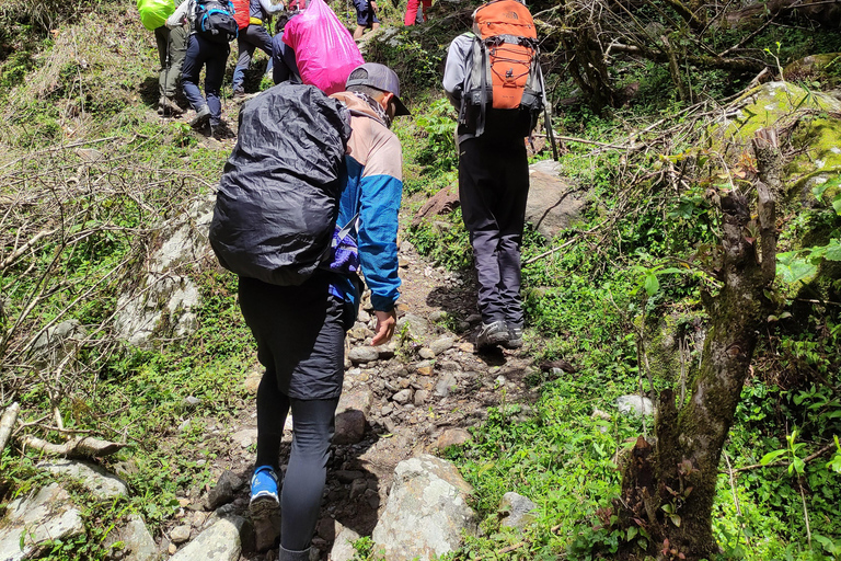 Annapurna View: Short trek to Poonhill-From PokharaAnnapurna View: Short trek to Poonhill