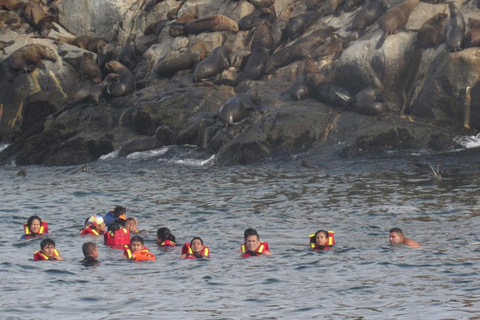 Lima: Tour a Isla Palomino Aventura Marina