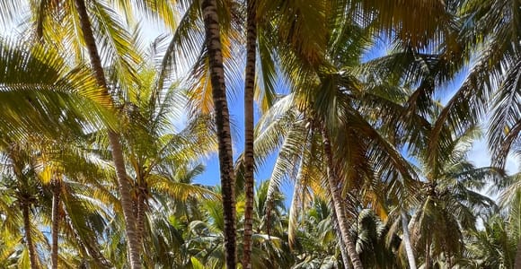 Punta Cana: Premium ATV Tour in a Small Group