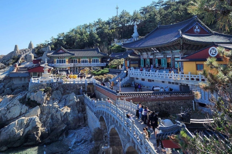 Busan: Pueblo Cultural de Gamcheon, Parque Blueline de HaeundaeEstación de metro Haeundae Salida 7 - Cápsula del Cielo