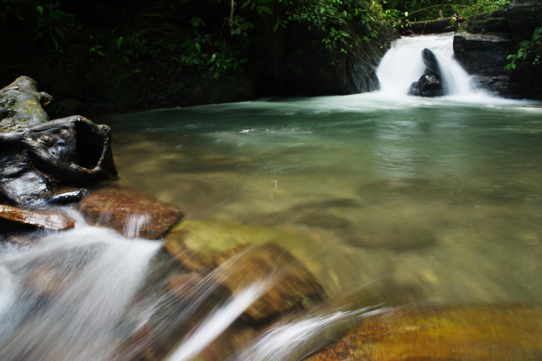 From São Paulo: Oyster Trail and My God Waterfall