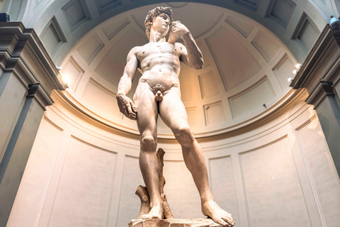 Florenz: Accademia + David-Eintrittskarte + Agudio Guide APP