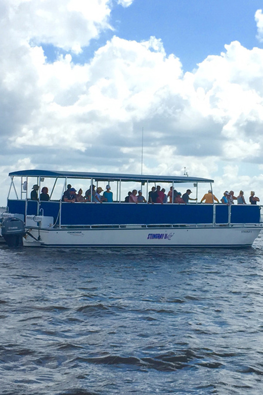 From Panama City, FL: Shell Island Ferry | GetYourGuide