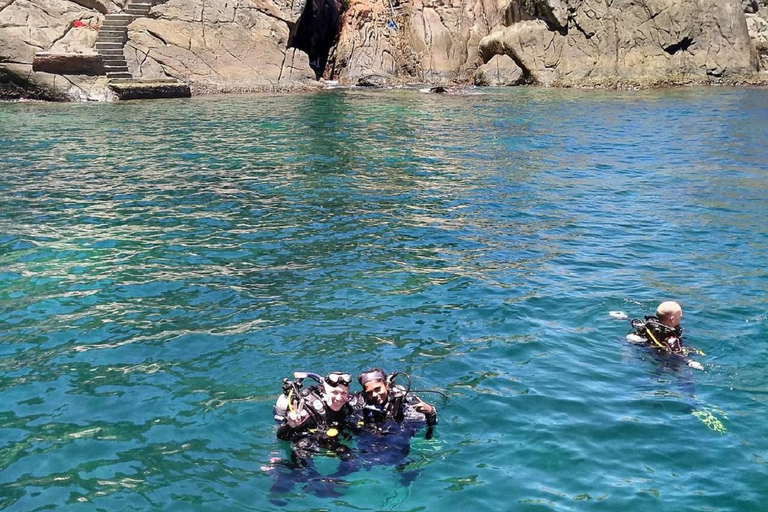 Ilha Cham: Experiência de mergulho com snorkel a partir de Danang