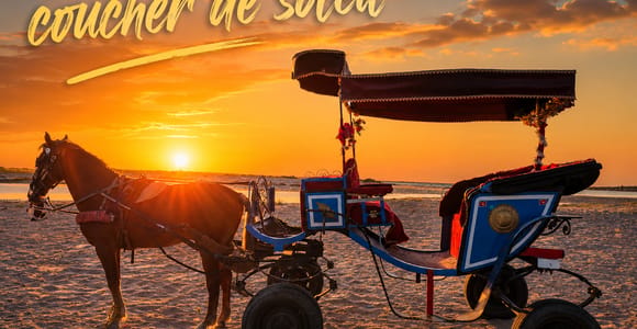 Djerba: Sunset Carriage Ride to the Island of Pink Flamingos