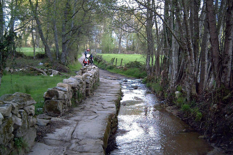 ✅Ruta Ribeira Sacra and Sarria: Between Vineyards, History and the Way of Saint James Ribeira Sacra and Sarria Route: Between Vineyards, History and the Way of St. James