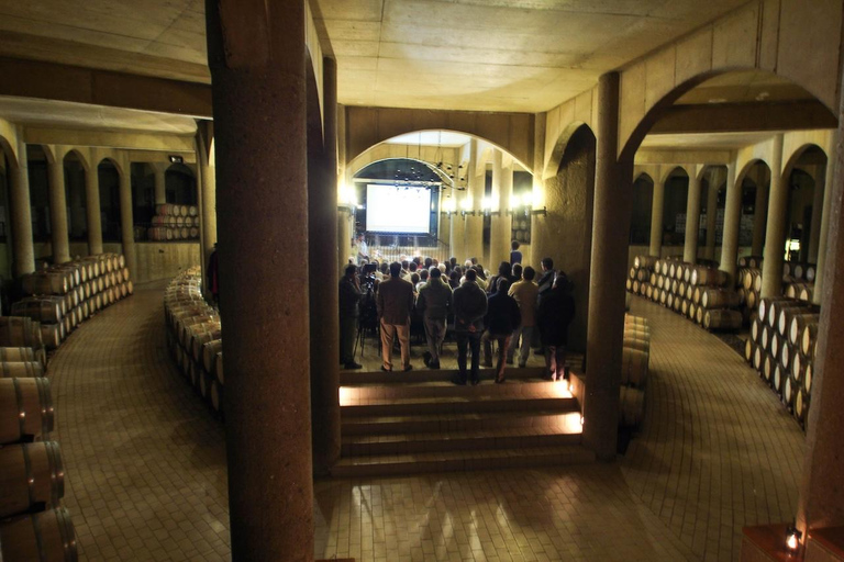 Expérience Haras : escapade dans les vignobles, vin et dégustationsExpérience Icono – 4 dégustations de vin