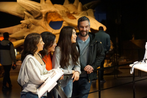 Belfast: Official Game of Thrones Studio Tour & Transfer