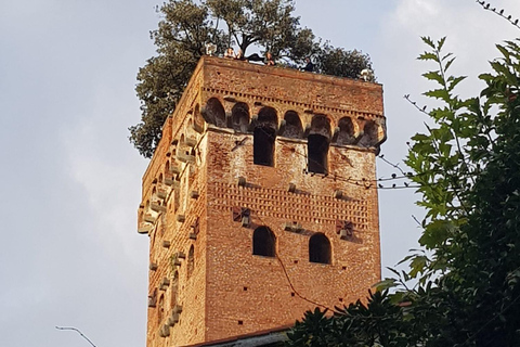 BASIC Lucca: visita guidata in ITALIANO