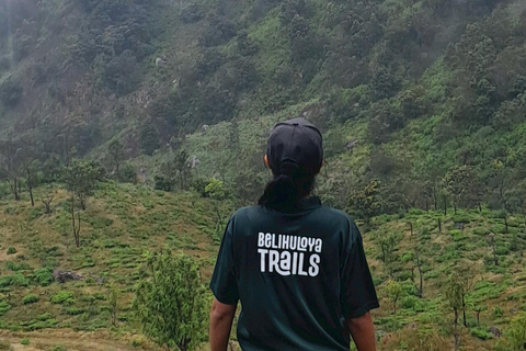 Belihuloya Trails Stage 3 & 4 : 4-Day Hiking Adventure