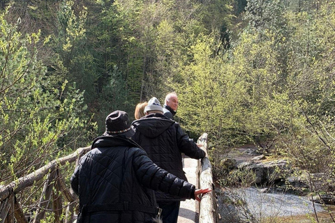 From Thessaloniki: Mount Olympus Private Hike