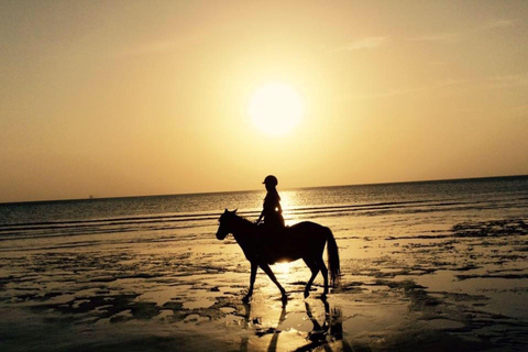 Zanzibar Cooking Class, Spice Tour, Horseback Riding