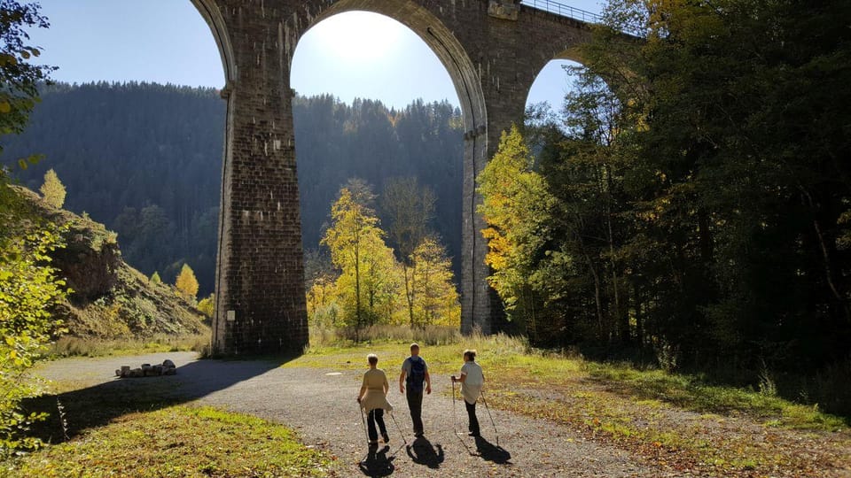 Brief History of the Black Forest, Germany