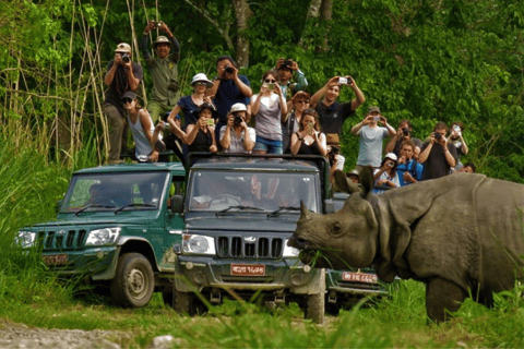 Chitwan: All Inclusive 3 days Safari with Tharu Village tour 4 Star Hotel: All inclusive 2 nights and 3 days Package