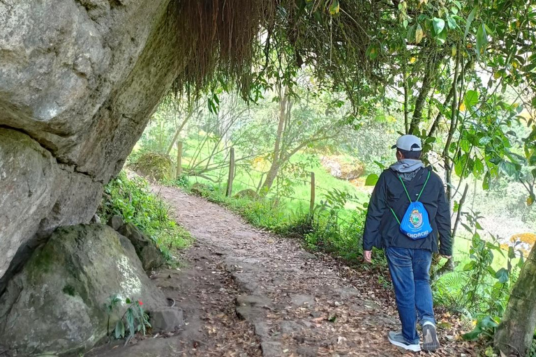 Private Tour with Guide to the Highest Waterfall in Colombia Bogotá: La Chorrera Waterfall Private Tour