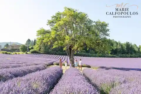 Provence: Private photoshoot by a professional photographer