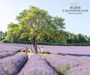 Provence: Private photoshoot by a professional photographer