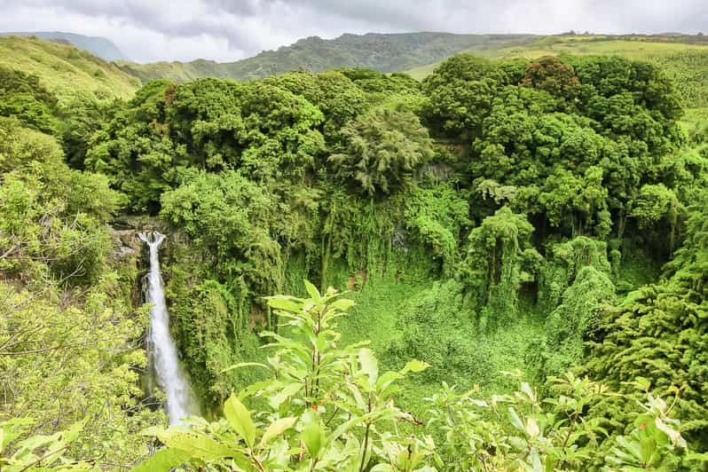 maui waterfall hike tour