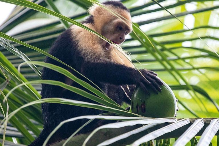 Manuel Antonio: LE 5 MIGLIORI COSE DA FARE Tutti i tour-Costa Rica