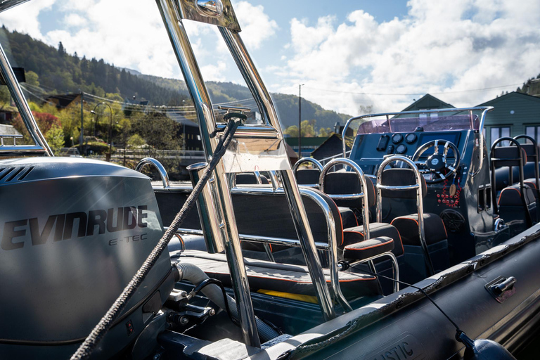 Bergen: Modalen RIB Fjord Safari with Lunch & Transfer