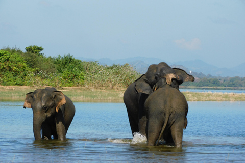 Yala & Bundala Both National Parks: One Day Safari Tour Pick up & Drop off: Yala/Tissa/Kataragama/Kirinda/Weerawila