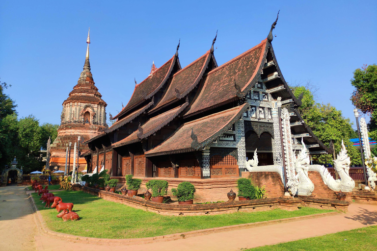 Chiang Mai: Old City Temples Tuk Tuk Half-Day Tour