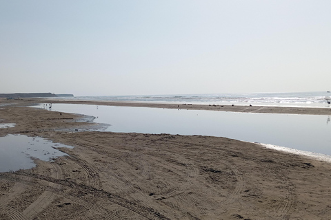 Dhofar: Salalah City and East Salalah Private Tour