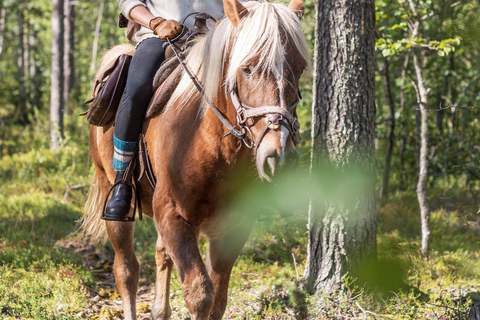 Levi: Avventura a cavallo di un giorno intero