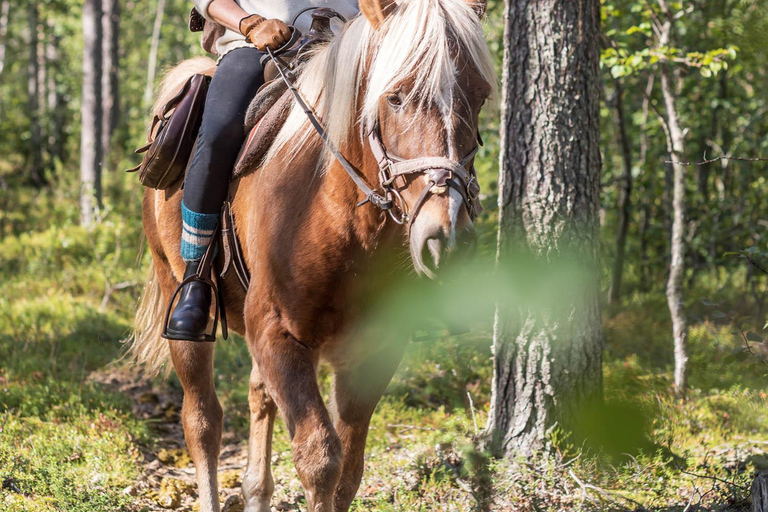 Levi: Avventura a cavallo di un giorno intero