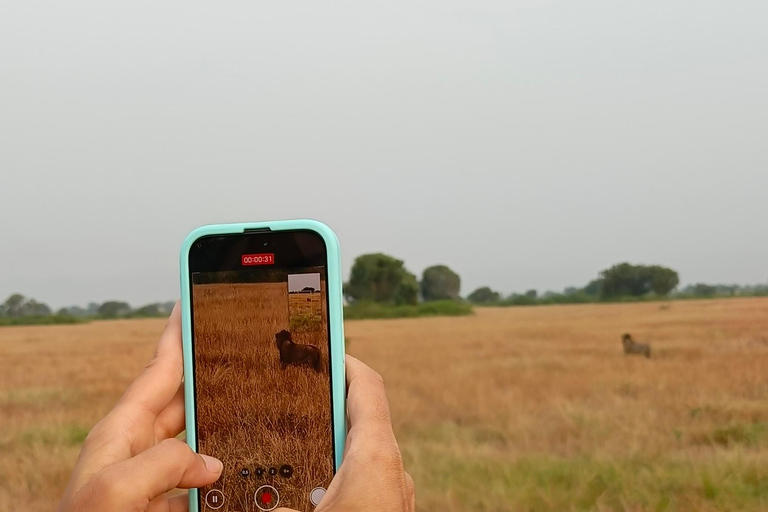 Kampala: 3-Day Queen Elizabeth National Park Safari Tour