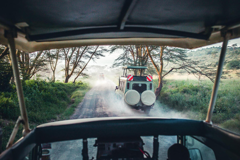 2-daagse luxe privé-safari van en terug naar Zanzibar