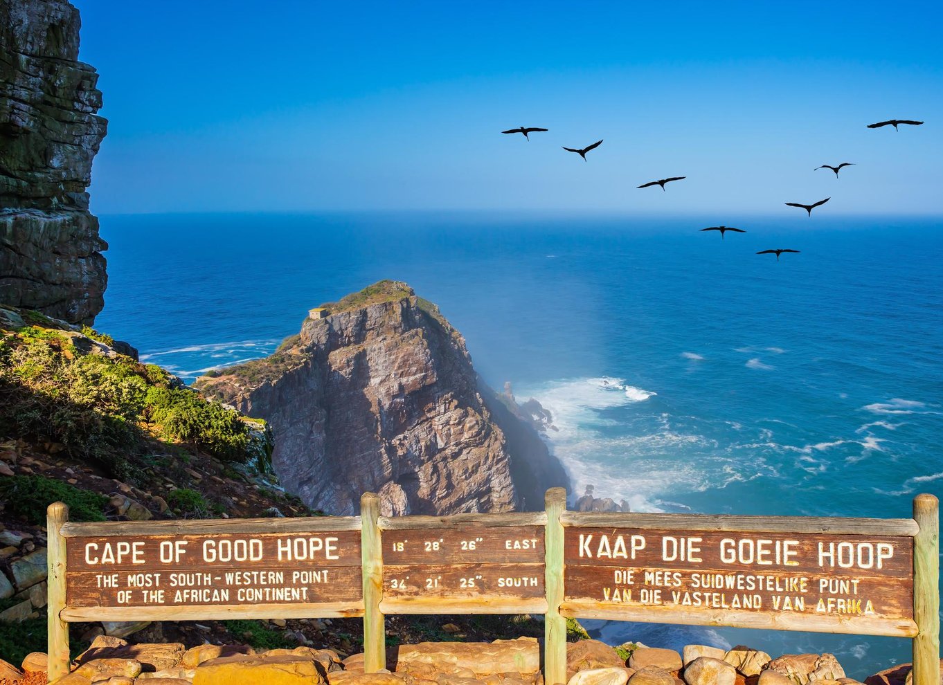 Kapstaden: Halvdagstur til Kap Det Gode Håb og pingvinkolonien