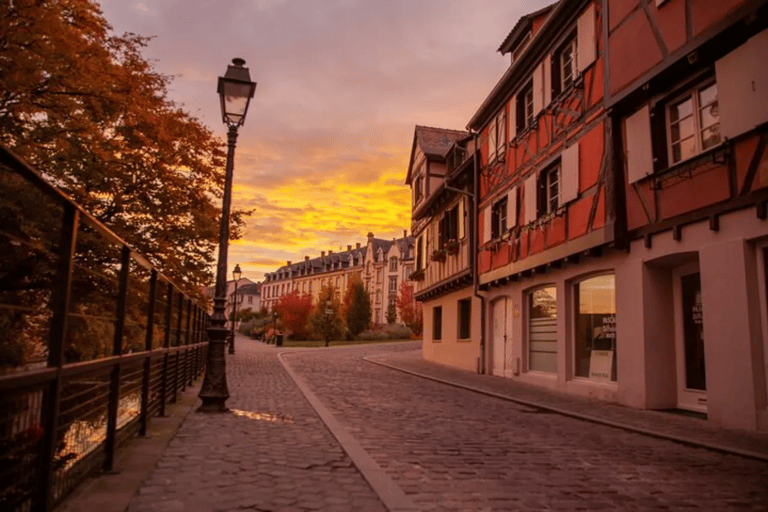 Colmar : visite à pied du marché de Noël et des principaux sites de la ville