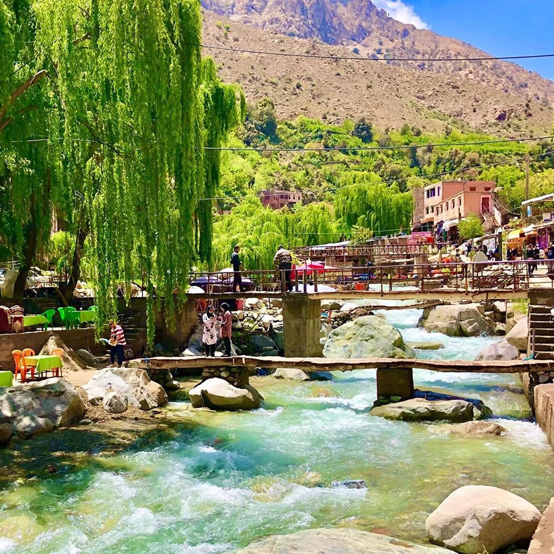 Marrakech : Excursion dans la vallée de l'Ourika et les montagnes de l'Atlas