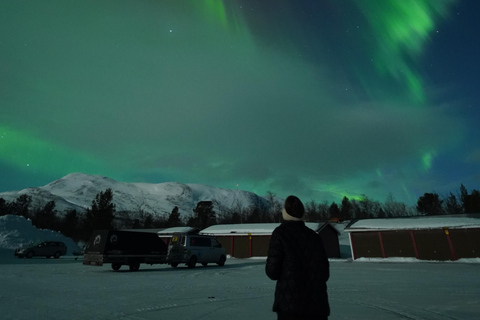 From Kiruna: Abisko National Park Northern Lights Tour