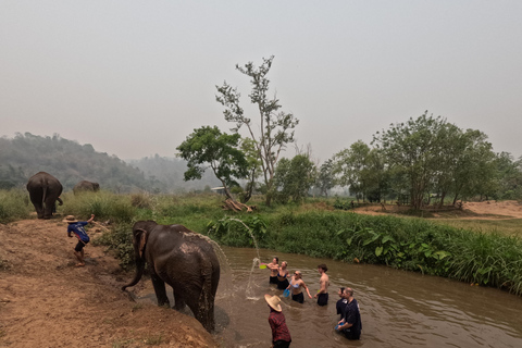 Visita di mezza giornata al programma CHIANGMAI ELEPHANT CARE (8.00-13.00)