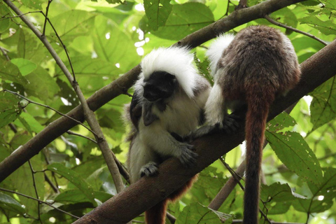 UTV & Horseback Tour with Wildlife Views from Cartagena