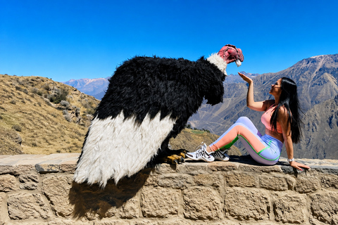 From Puno: 2-Day Colca Canyon Tour with Hotel Stay 2-Day Colca Canyon Tour – Return to Puno