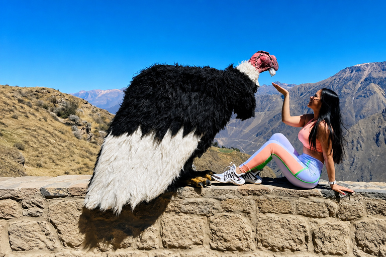 From Puno: 2-Day Colca Canyon Tour with Hotel Stay 2-Day Colca Canyon Tour – Return to Puno